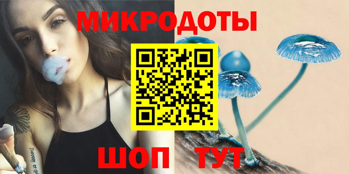 Галлюциногенные грибы Psilocybe Улан-Удэ