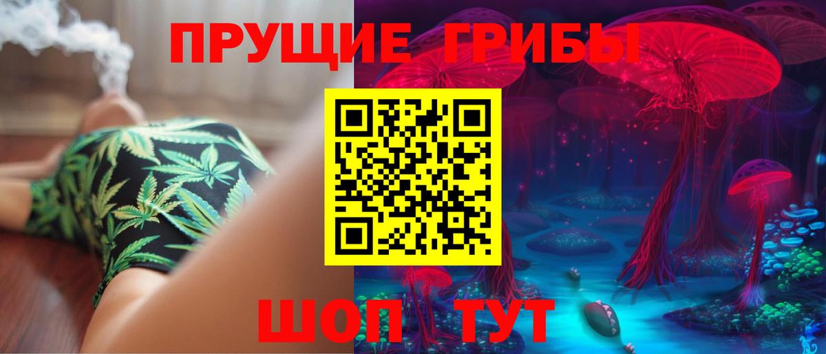 Псилоцибиновые грибы Psilocybe  Вход с VPN  Улан-Удэ 